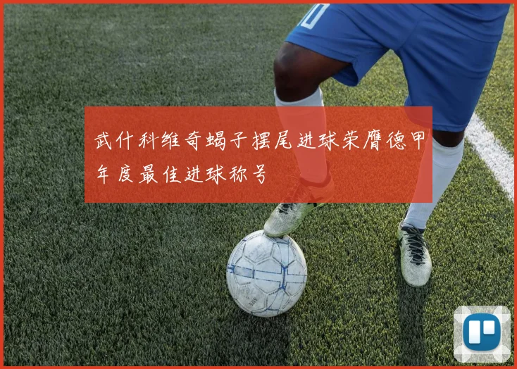 武什科维奇蝎子摆尾进球荣膺德甲年度最佳进球称号
