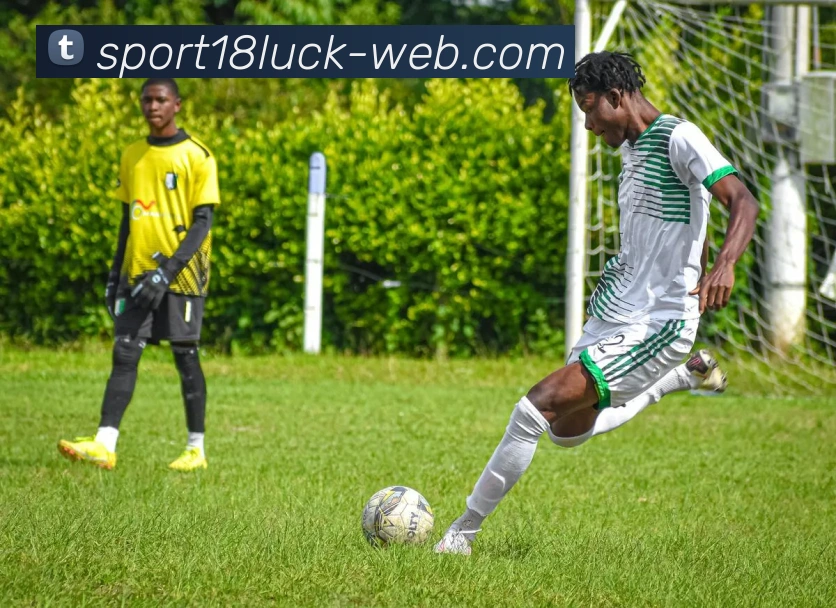 18新利体育APP 高清赛事图